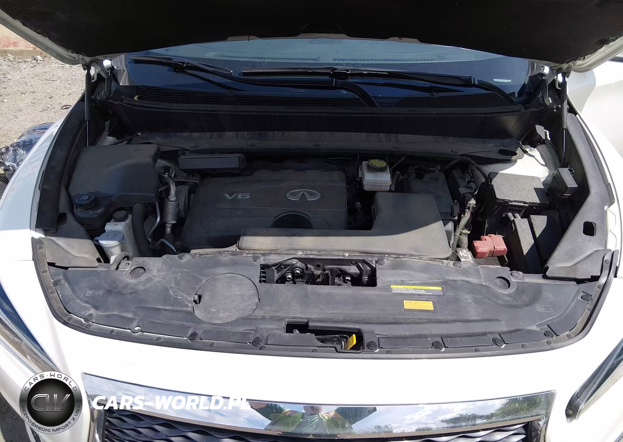 2019 Infiniti Qx60 Luxe VIN:5N1DL0MMXKC508527 - 10