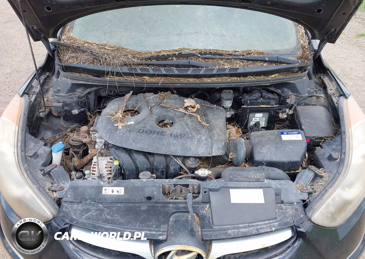 2013 Hyundai Elantra Gls VIN:KMHDH4AE6DU913500 - 10