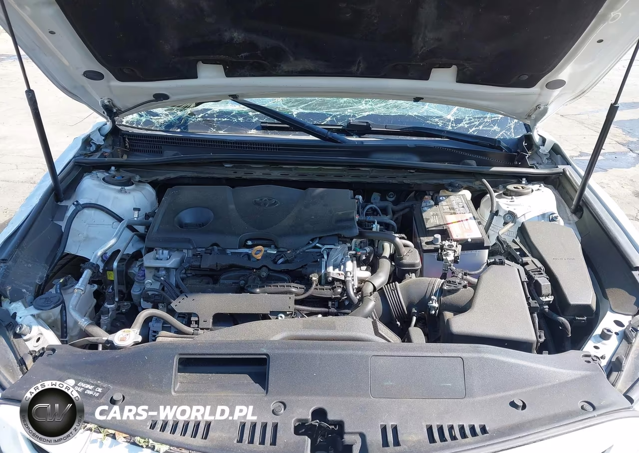 2018 Toyota Camry Se VIN:4T1B11HK2JU012870 - 10