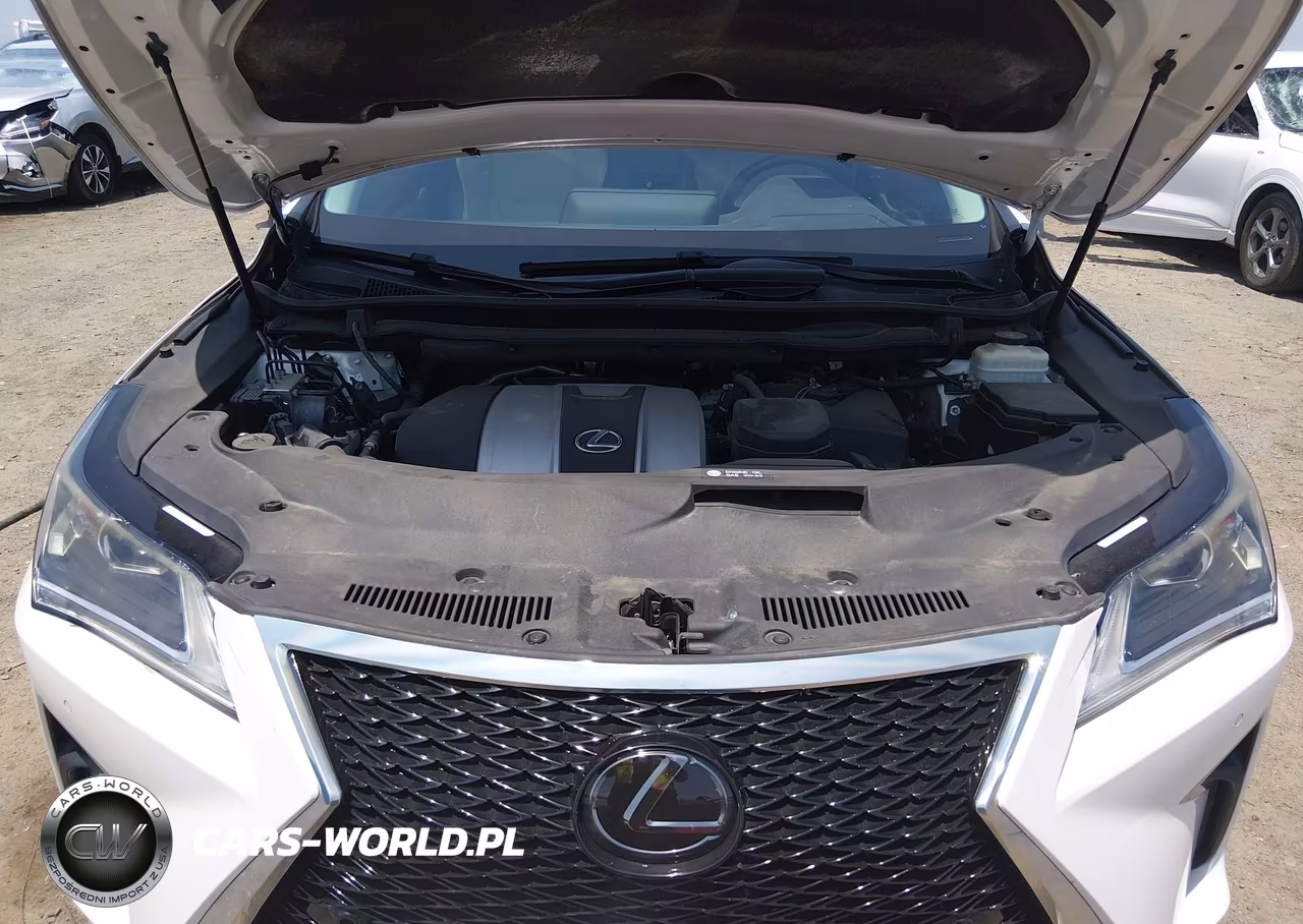 2016 Lexus Rx 350 VIN:2T2BZMCA4GC017034 - 10