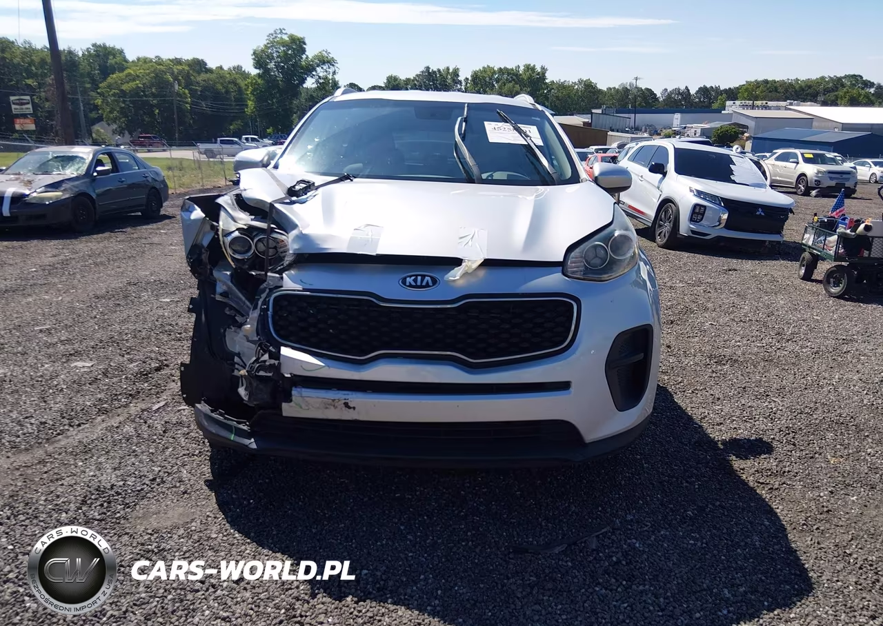 2017 Kia Sportage Lx VIN:KNDPM3ACXH7109677 - 12