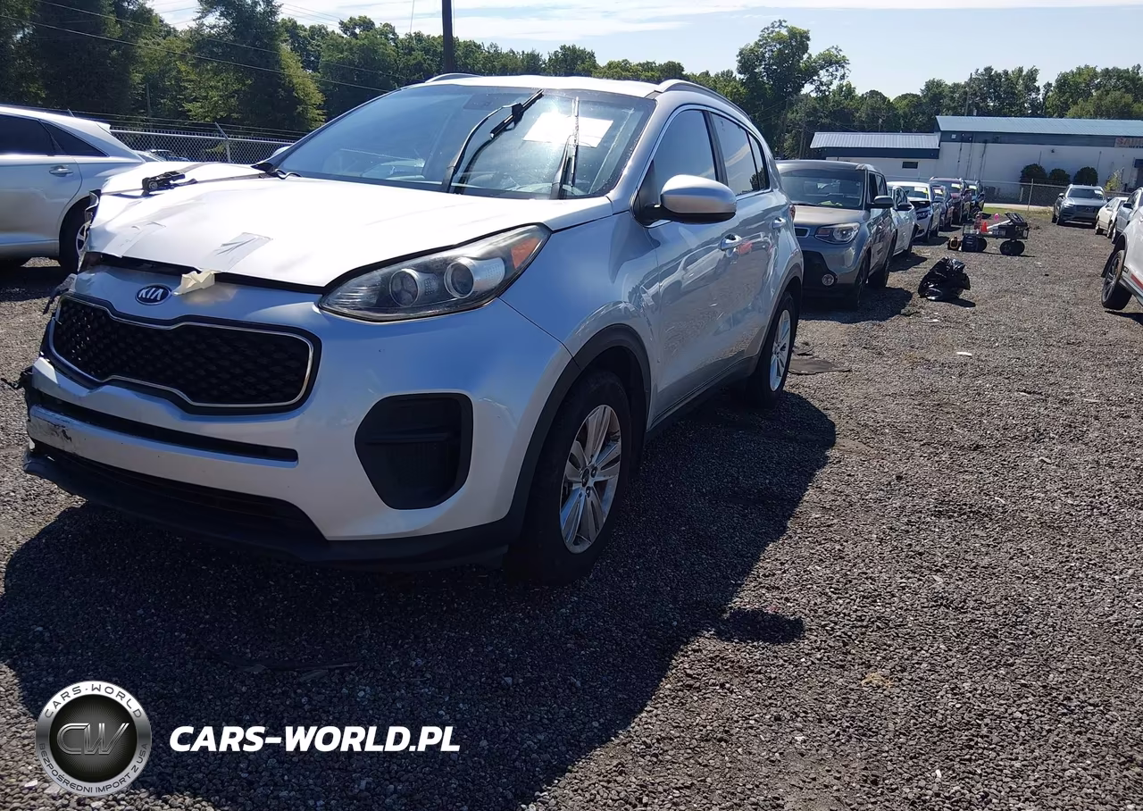 2017 Kia Sportage Lx VIN:KNDPM3ACXH7109677 - 2