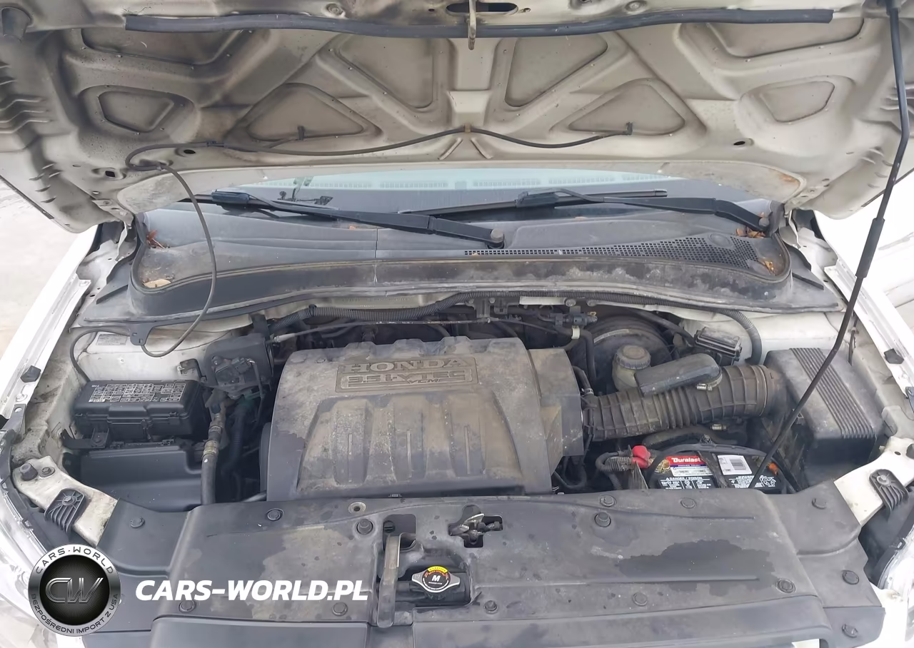 2006 Honda Pilot Ex-L VIN:5FNYF28546B009209 - 10