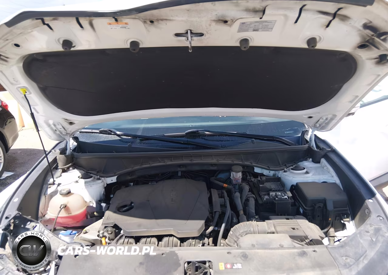 2023 Hyundai Tucson Limited VIN:5NMJECAE1PH235373 - 10