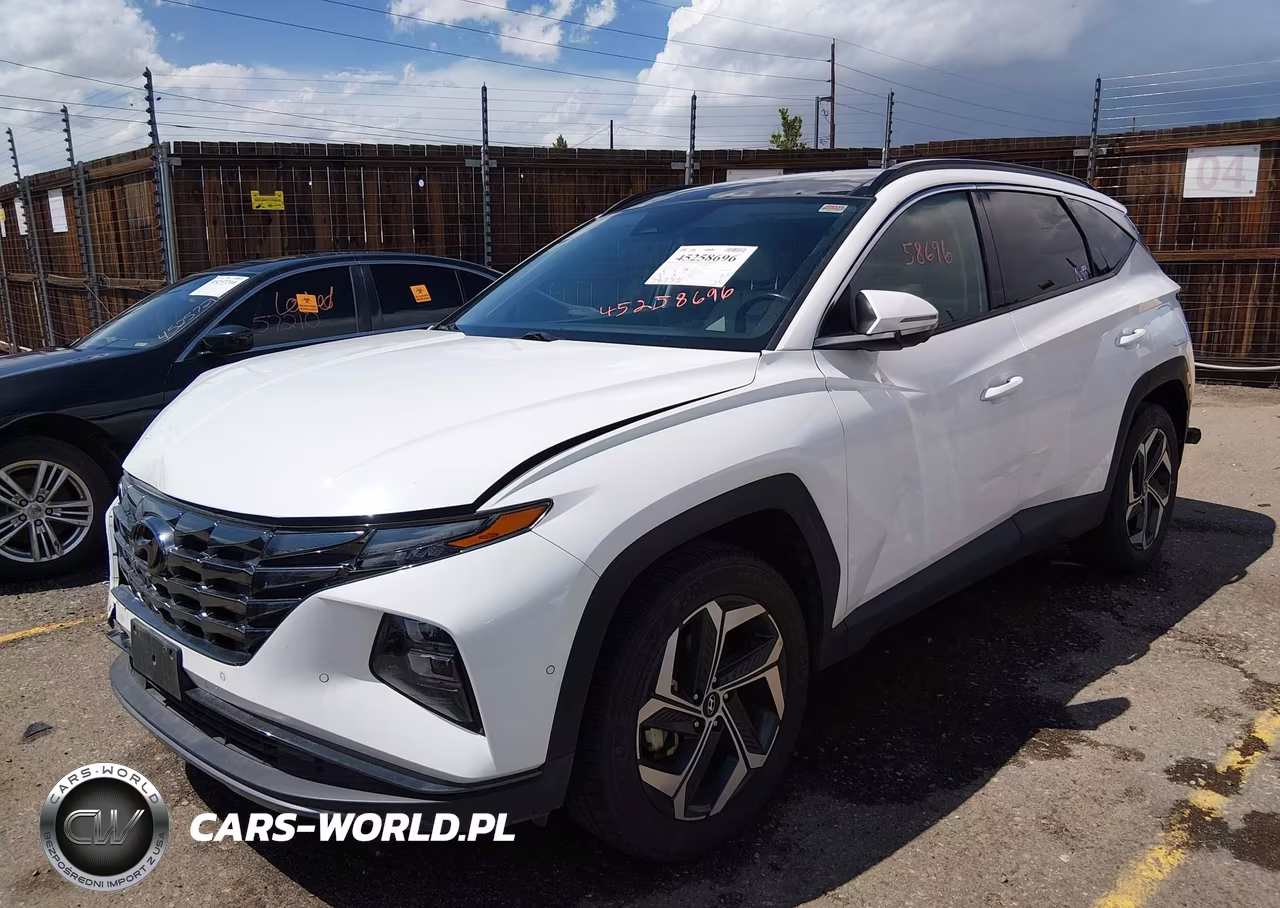 2023 Hyundai Tucson Limited VIN:5NMJECAE1PH235373 - 2
