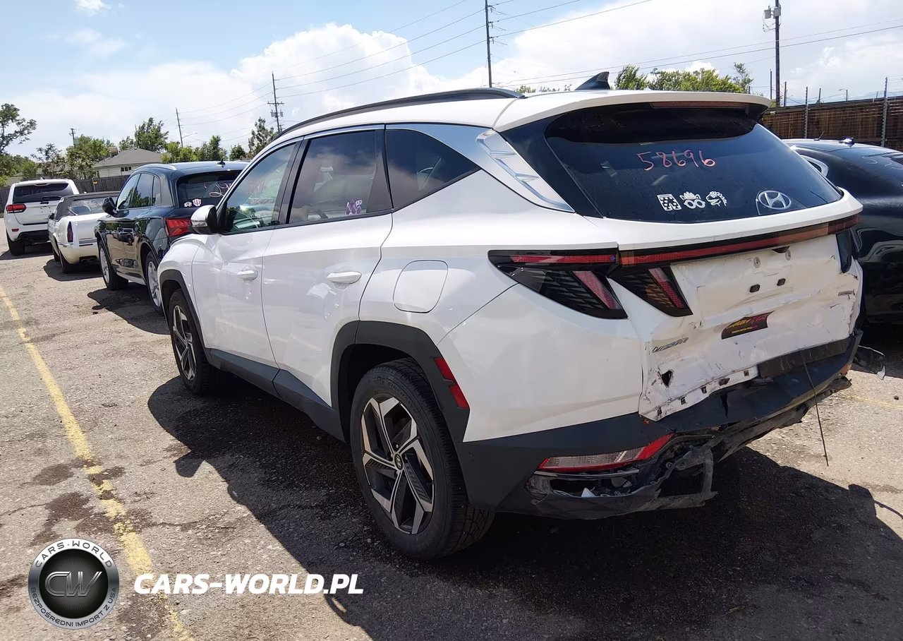 2023 Hyundai Tucson Limited VIN:5NMJECAE1PH235373 - 3