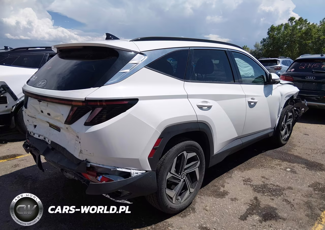 2023 Hyundai Tucson Limited VIN:5NMJECAE1PH235373 - 4