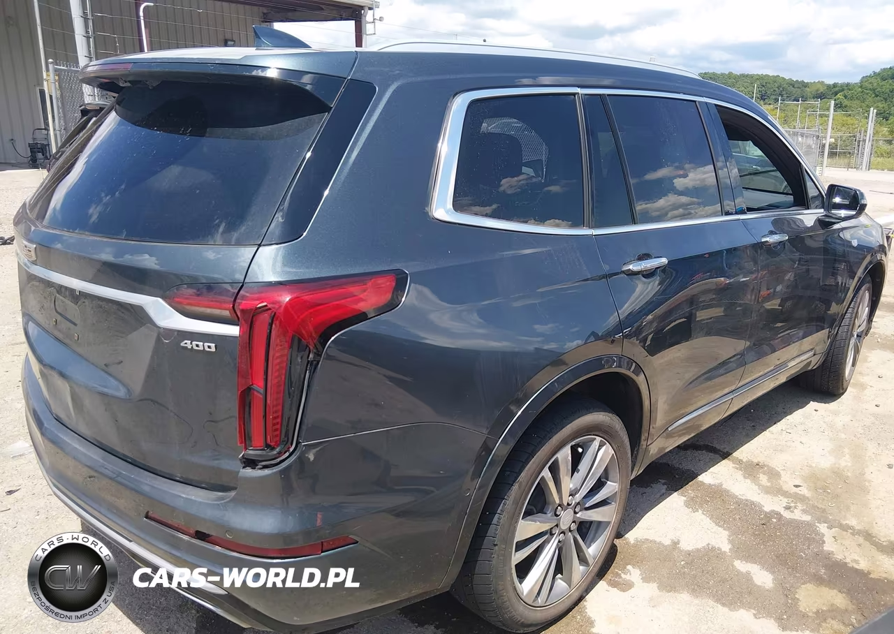 2020 Cadillac Xt6 Premium Luxury VIN:1GYKPDRS7LZ189417 - 4