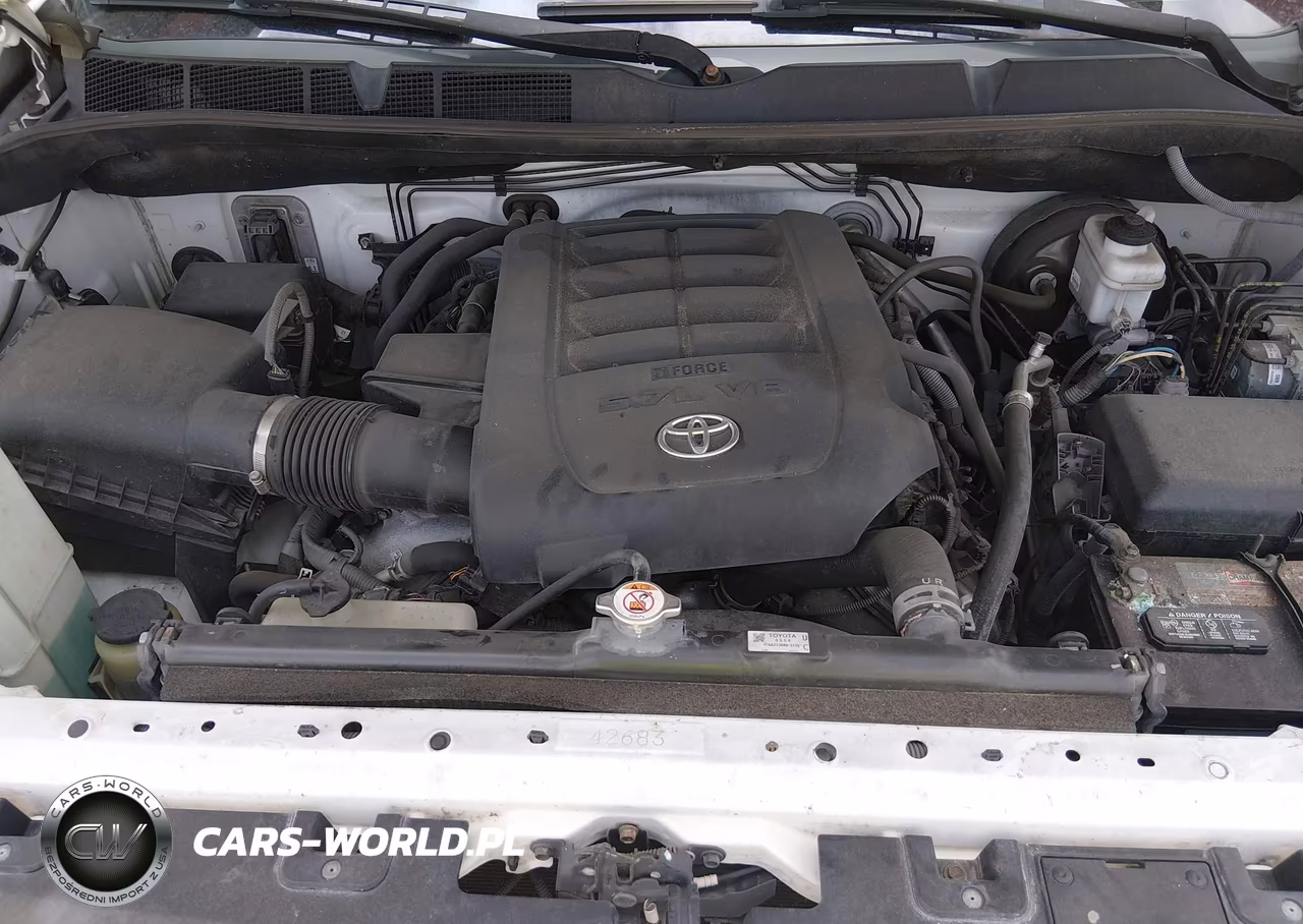 2019 Toyota Tundra 1794 5.7L V8 VIN:5TFAY5F12KX795119 - 10