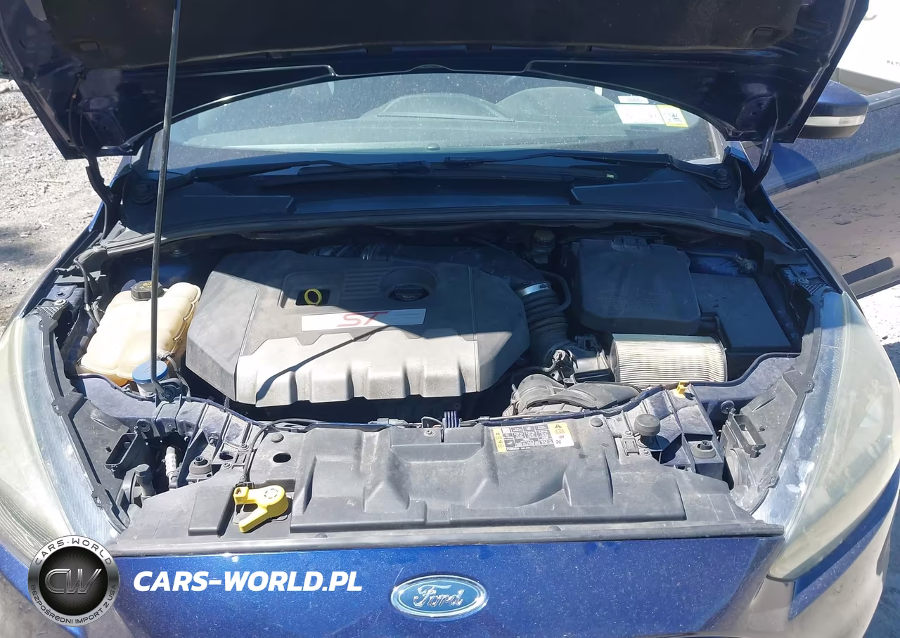 2016 Ford Focus St VIN:1FADP3L94GL241518 - 10