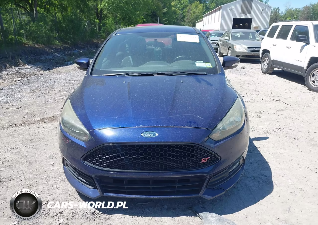 2016 Ford Focus St VIN:1FADP3L94GL241518 - 12