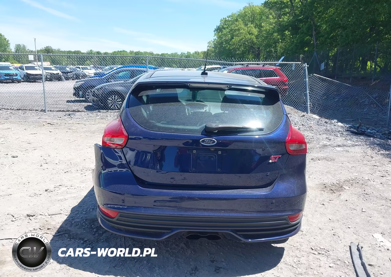 2016 Ford Focus St VIN:1FADP3L94GL241518 - 16