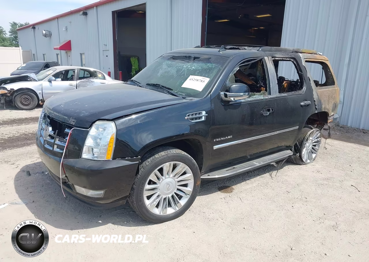 2011 Cadillac Escalade Luxury VIN:1GYS4BEFXBR336690 - 2