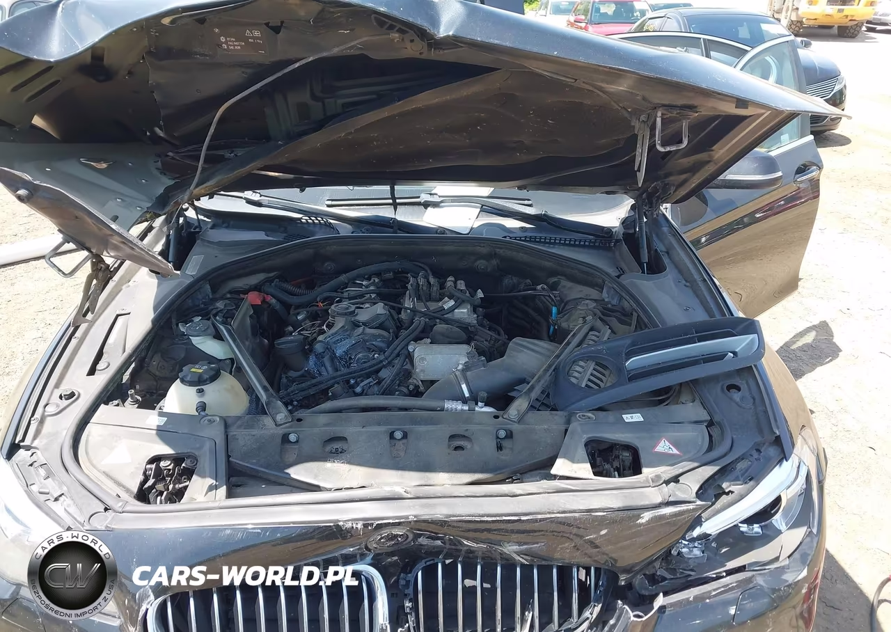 2016 BMW 528I xDrive VIN:WBA5A7C53GG146250 - 10
