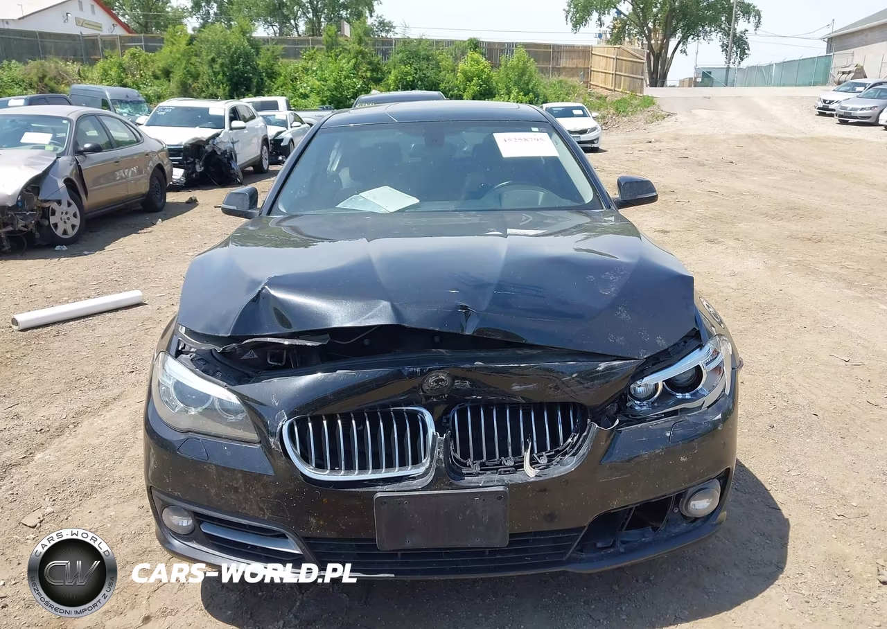 2016 BMW 528I xDrive VIN:WBA5A7C53GG146250 - 12
