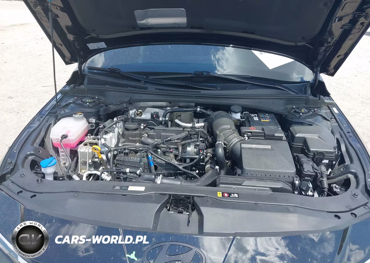 2025 Hyundai Elantra N VIN:KMHLW4DK4SU029071 - 10