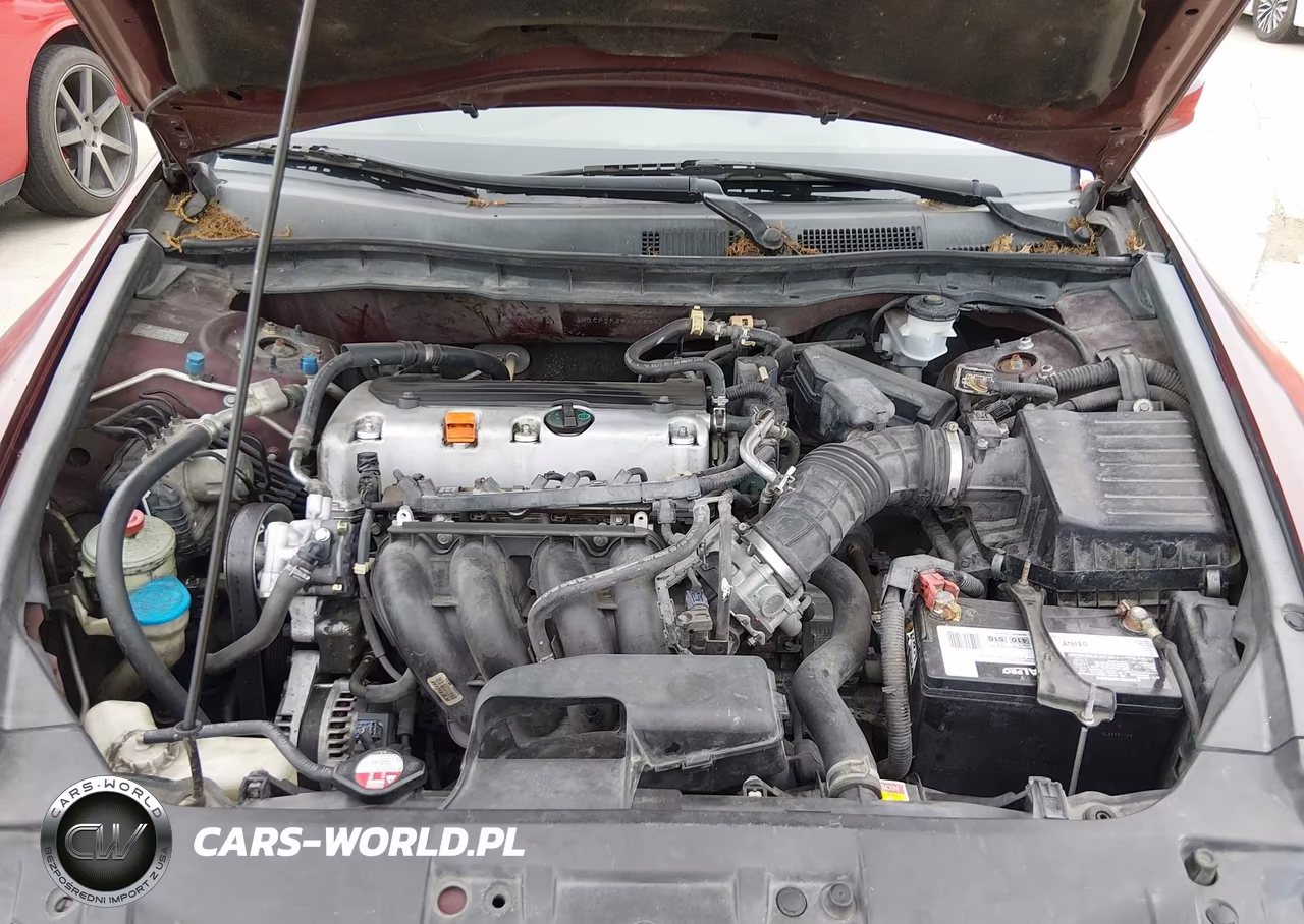 2010 Honda Accord 2.4 Lx VIN:1HGCP2F39AA065562 - 10