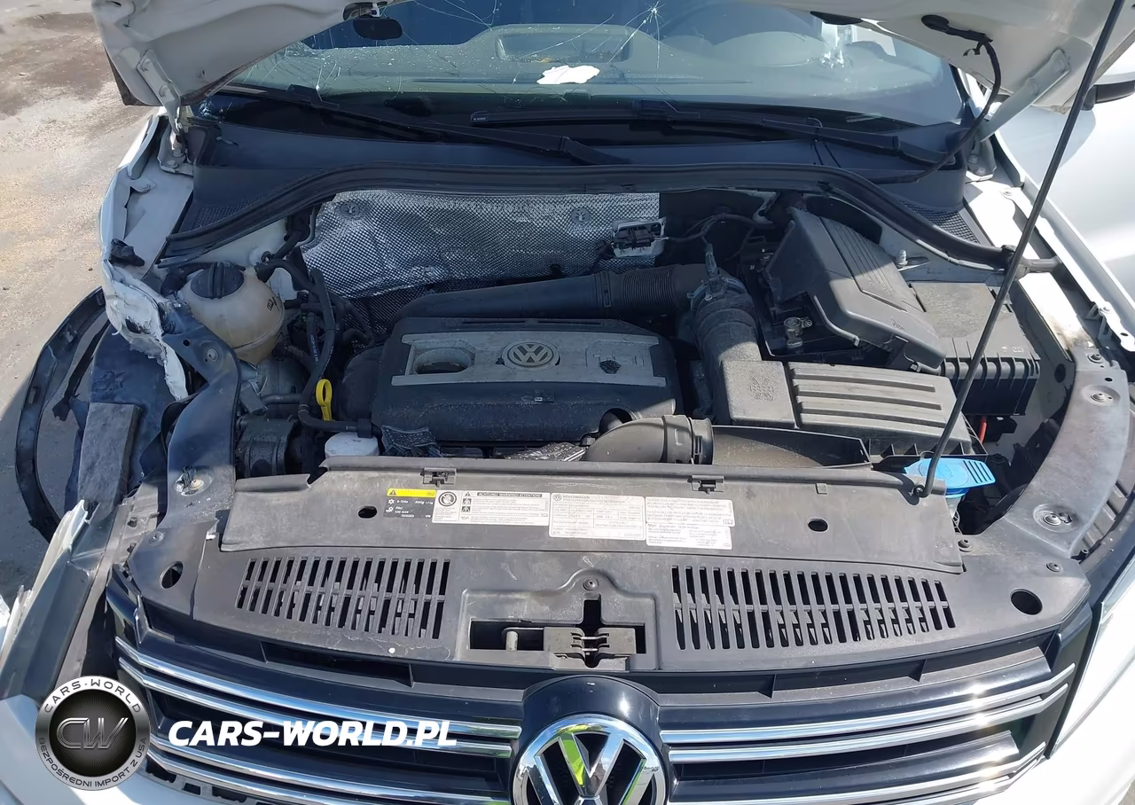 2017 Volkswagen Tiguan 2.0T Wolfsburg Edition VIN:WVGSV7AX4HK004000 - 10