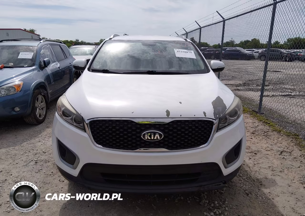 2018 Kia Sorento 2.4L Lx VIN:5XYPG4A34JG357395 - 12