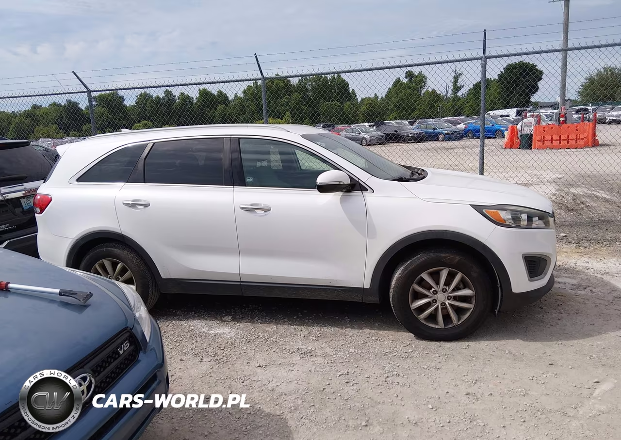 2018 Kia Sorento 2.4L Lx VIN:5XYPG4A34JG357395 - 13
