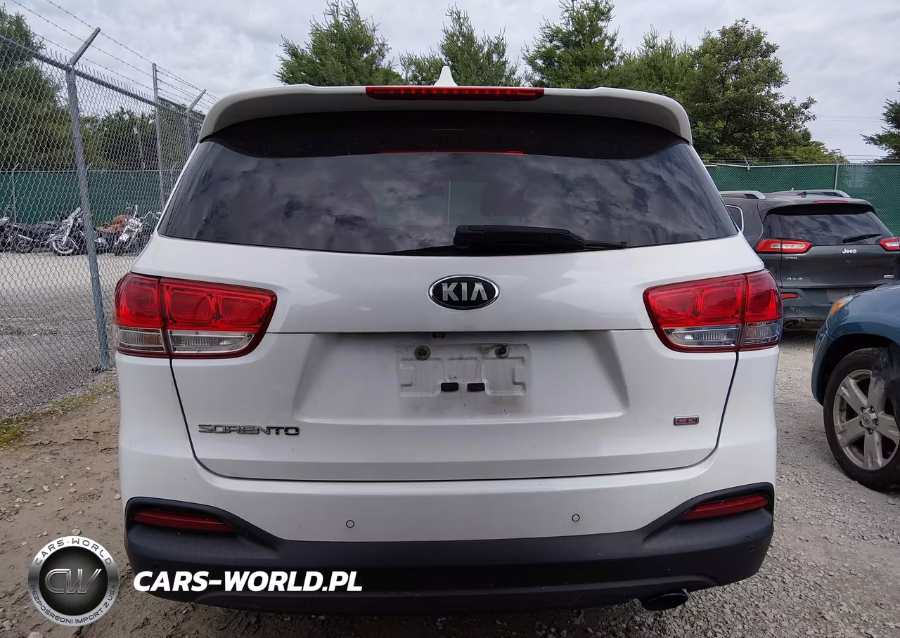 2018 Kia Sorento 2.4L Lx VIN:5XYPG4A34JG357395 - 16