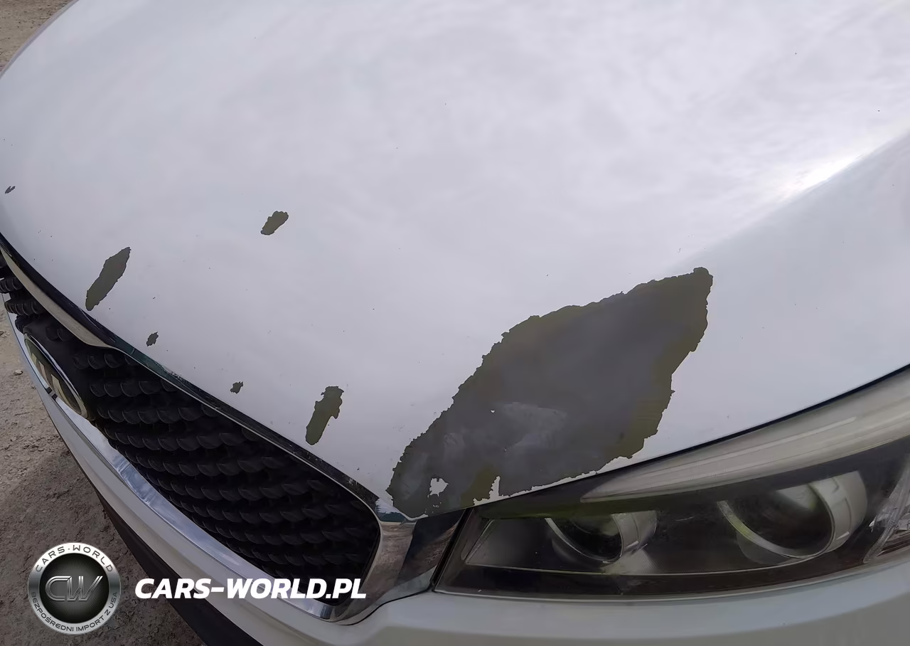 2018 Kia Sorento 2.4L Lx VIN:5XYPG4A34JG357395 - 17