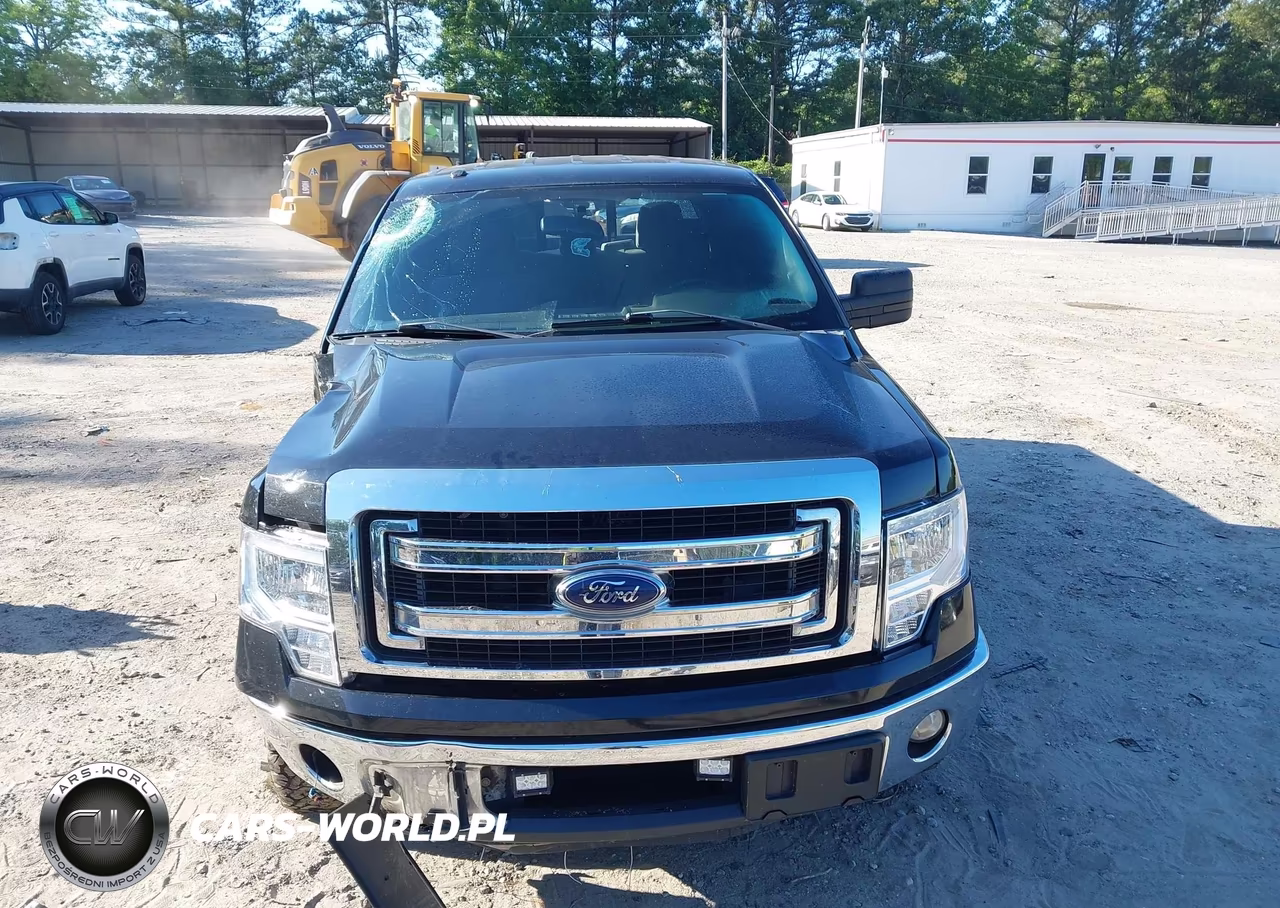 2013 Ford F-150 Xlt VIN:1FTFW1CTXDFD30073 - 12