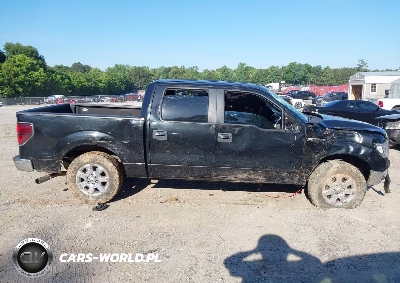2013 Ford F-150 Xlt VIN:1FTFW1CTXDFD30073 - 13