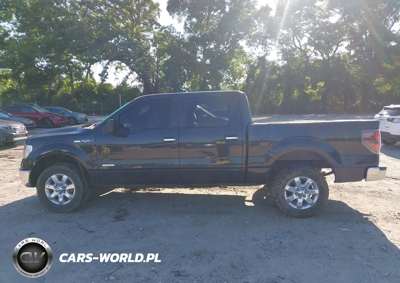 2013 Ford F-150 Xlt VIN:1FTFW1CTXDFD30073 - 14
