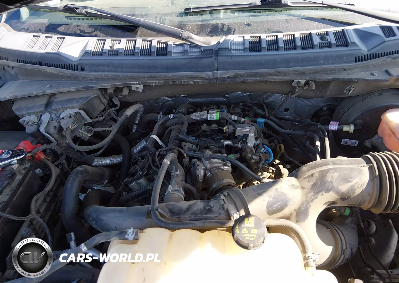 2020 Ford F-150 Xl VIN:1FTEW1CP6LKE39439 - 10