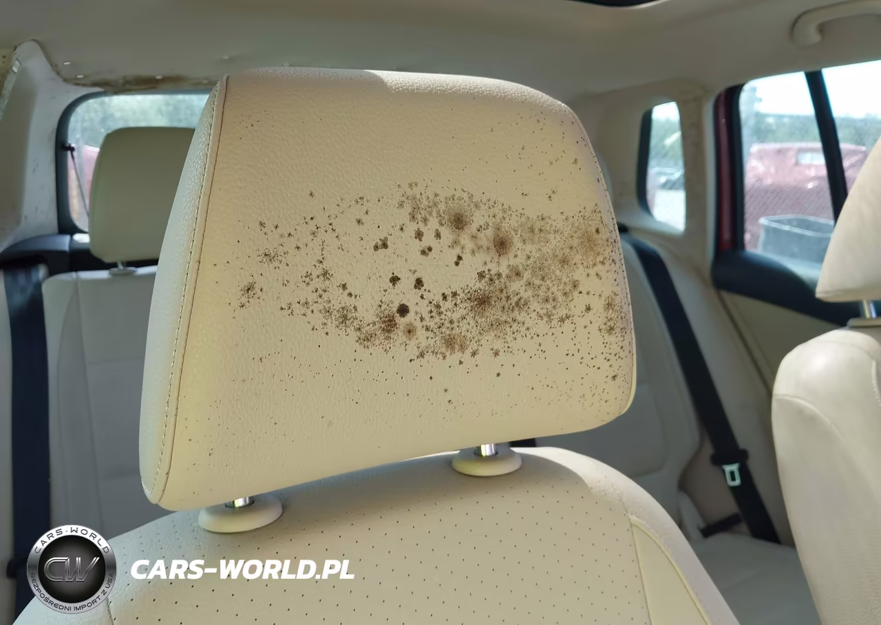 2015 Volkswagen Tiguan Se VIN:WVGAV7AX3FW099666 - 16
