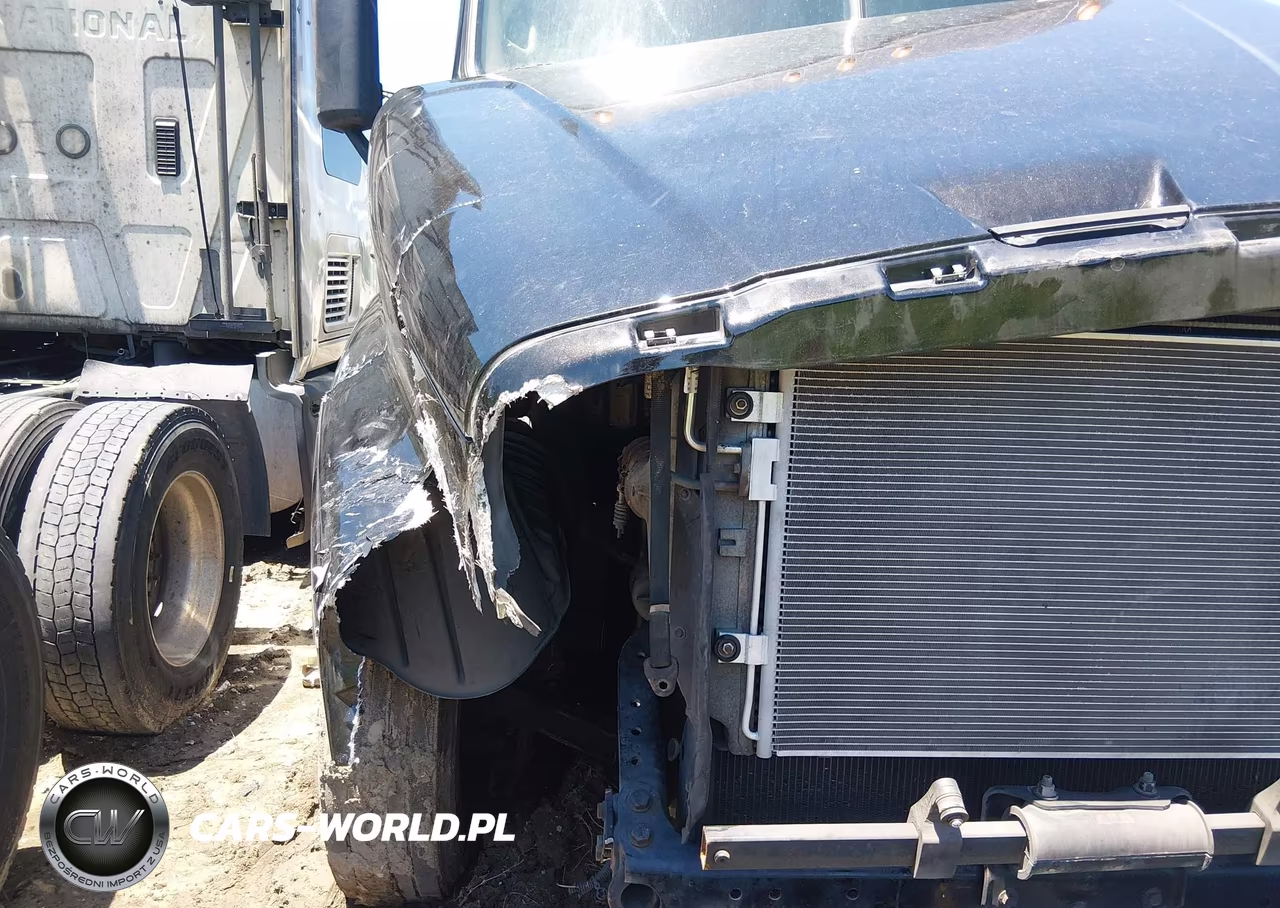 2015 Freightliner Cascadia 125 VIN:1FUJGLD58FLGP2656 - 11
