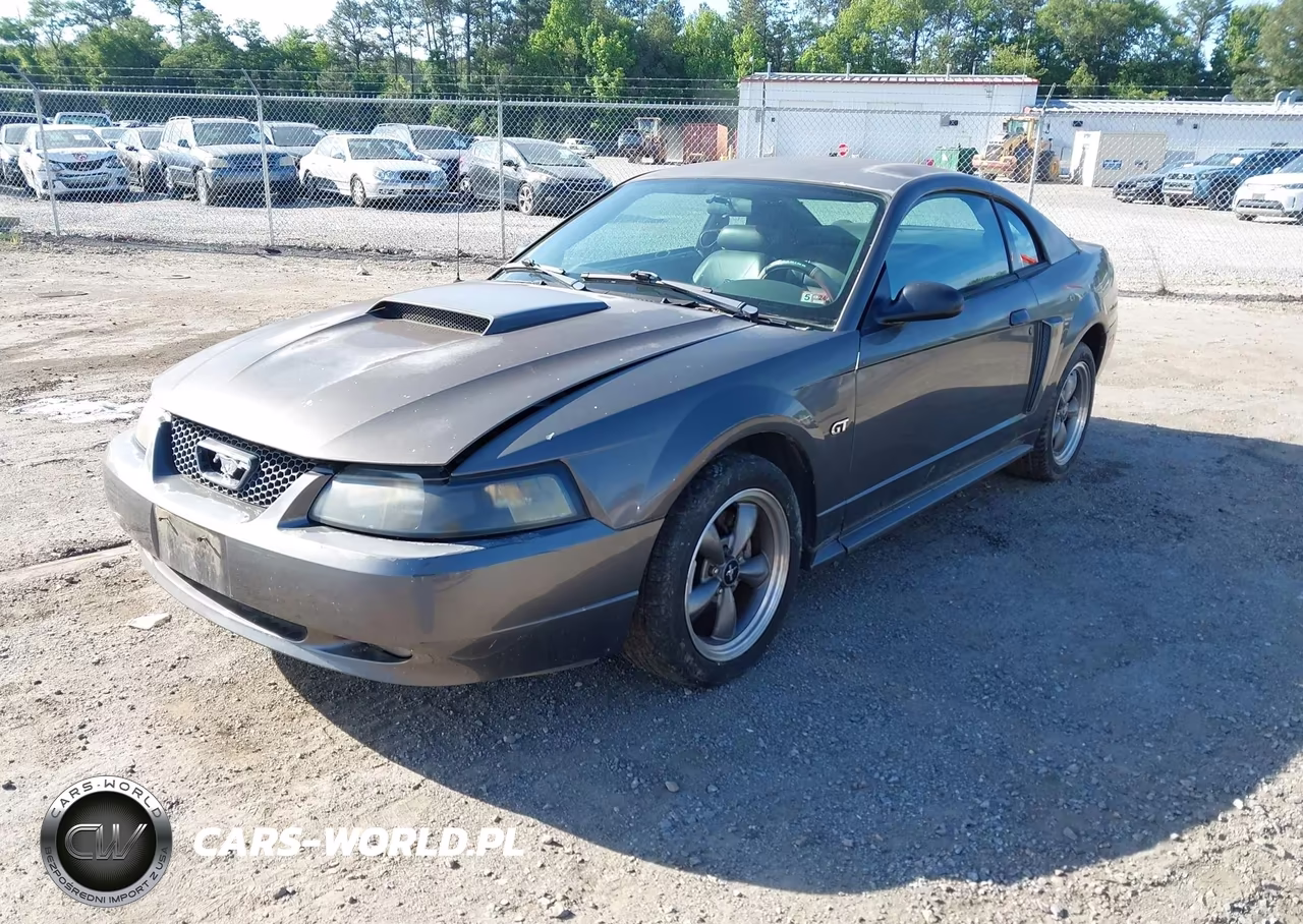 2003 Ford Mustang Gt VIN:1FAFP42X33F316331 - 2