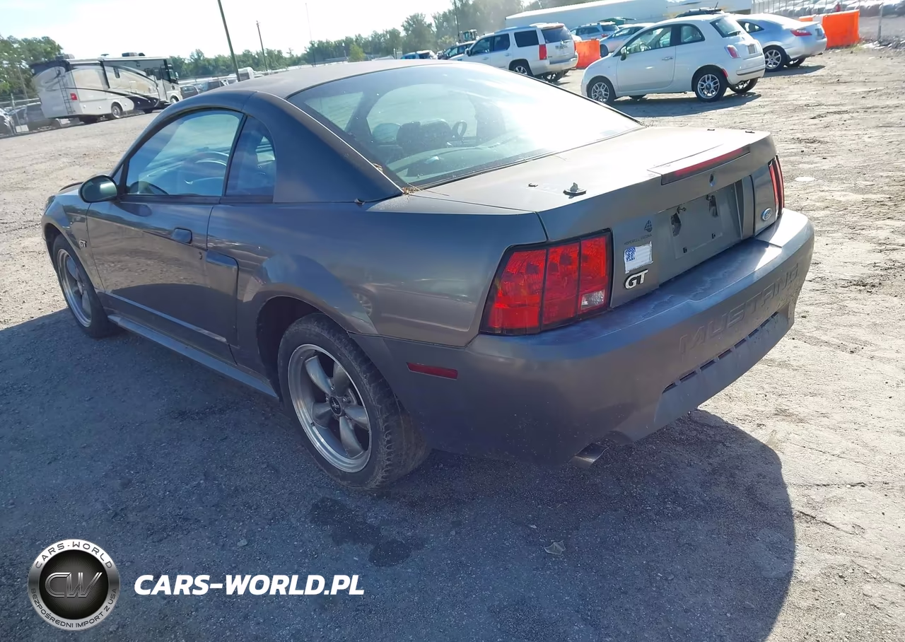 2003 Ford Mustang Gt VIN:1FAFP42X33F316331 - 3