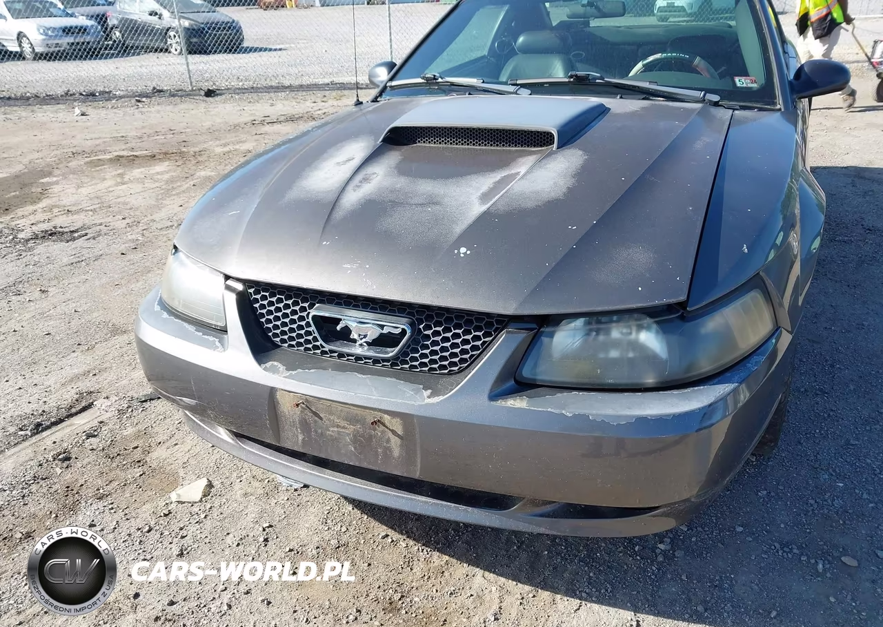 2003 Ford Mustang Gt VIN:1FAFP42X33F316331 - 6