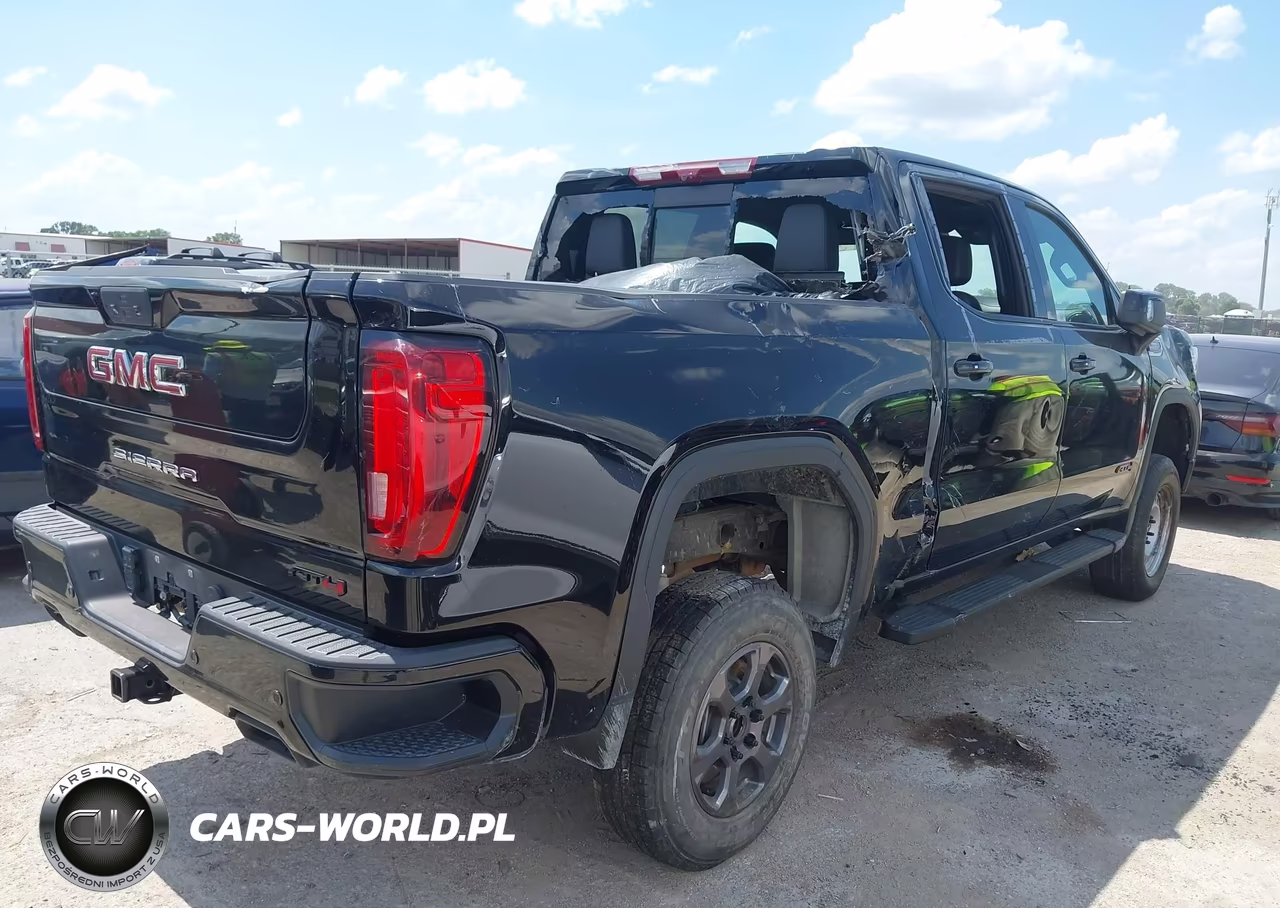 2020 GMC Sierra 1500 4Wd Short Box At4 VIN:1GTP9EEL7LZ270508 - 4