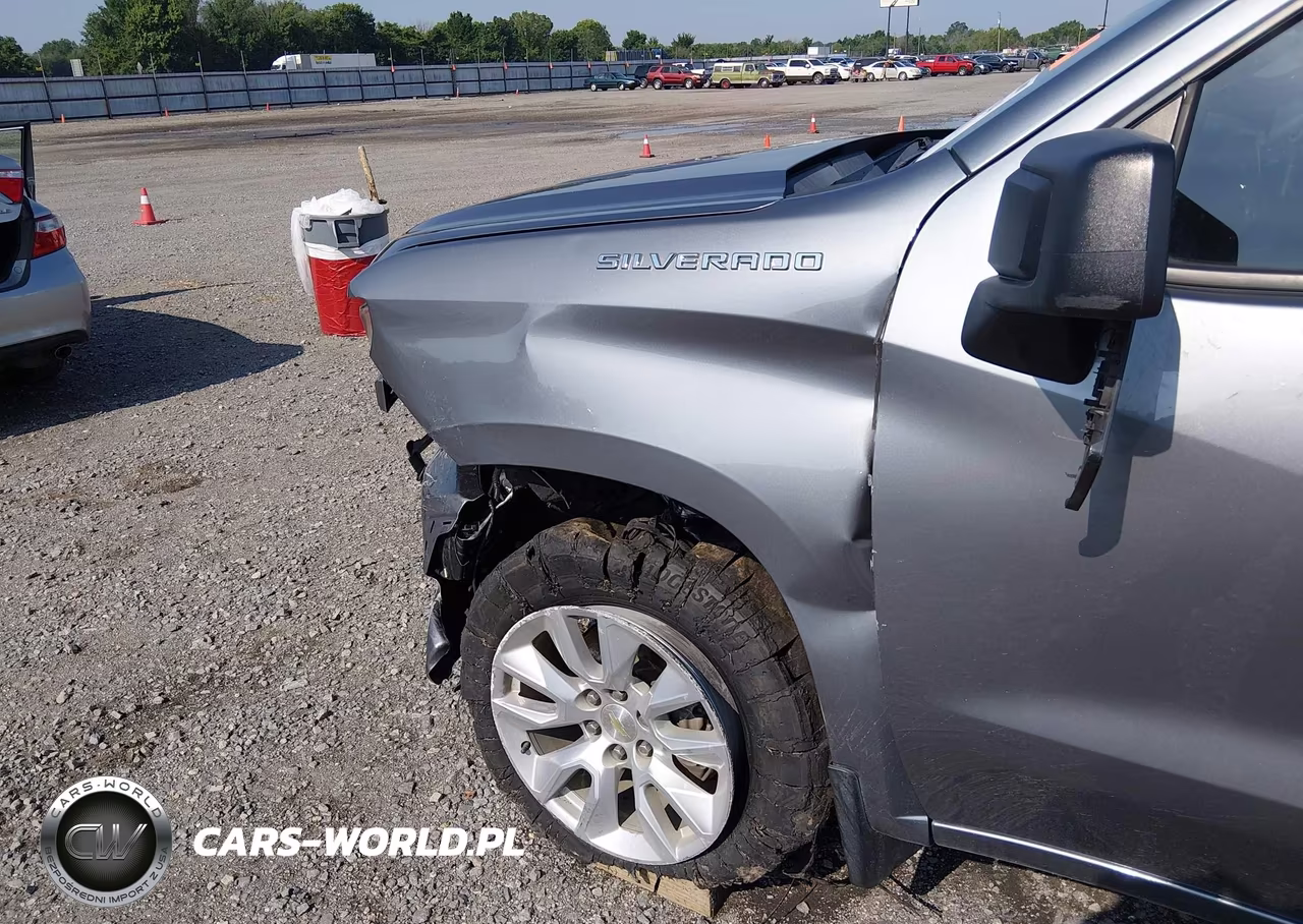 2020 Chevrolet Silverado 1500 2Wd Short Bed Custom VIN:3GCPWBEK4LG183941 - 17