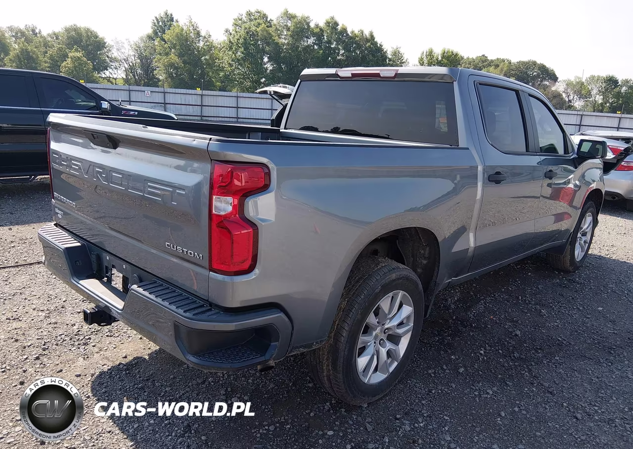 2020 Chevrolet Silverado 1500 2Wd Short Bed Custom VIN:3GCPWBEK4LG183941 - 4