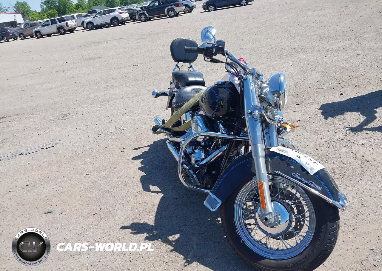 2008 Harley-Davidson Flstc Shrine – zdjęcie 1 z 13