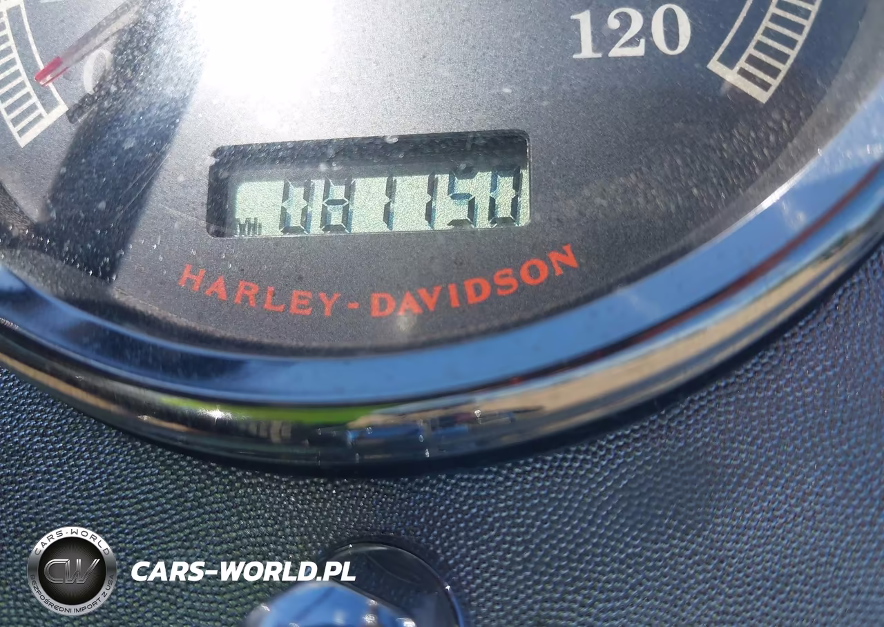 2008 Harley-Davidson Flstc Shrine VIN:1HD1JH5198Y067113 - 7