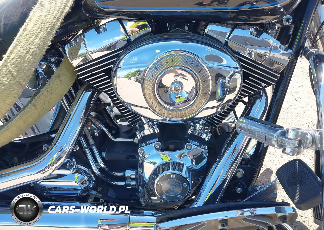 2008 Harley-Davidson Flstc Shrine VIN:1HD1JH5198Y067113 - 8