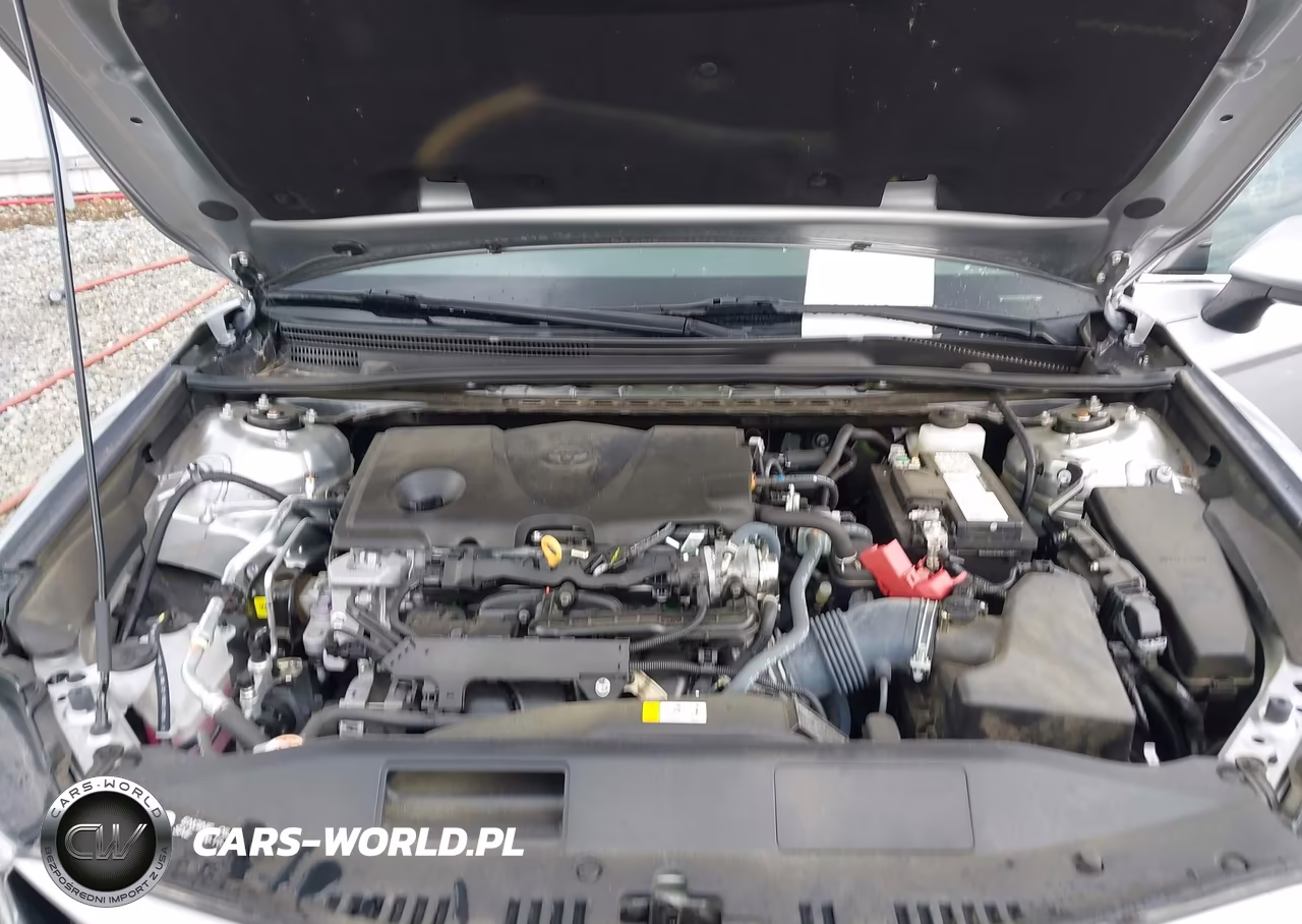 2023 Toyota Camry Le VIN:4T1C11AK5PU725818 - 10