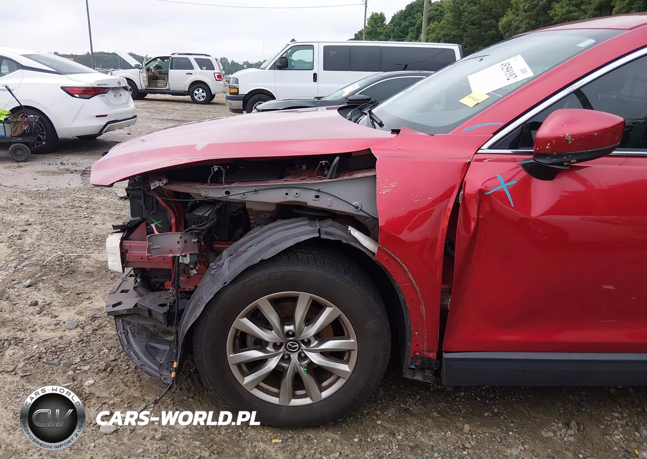 2016 Mazda Cx-9 Touring VIN:JM3TCACY0G0126372 - 19