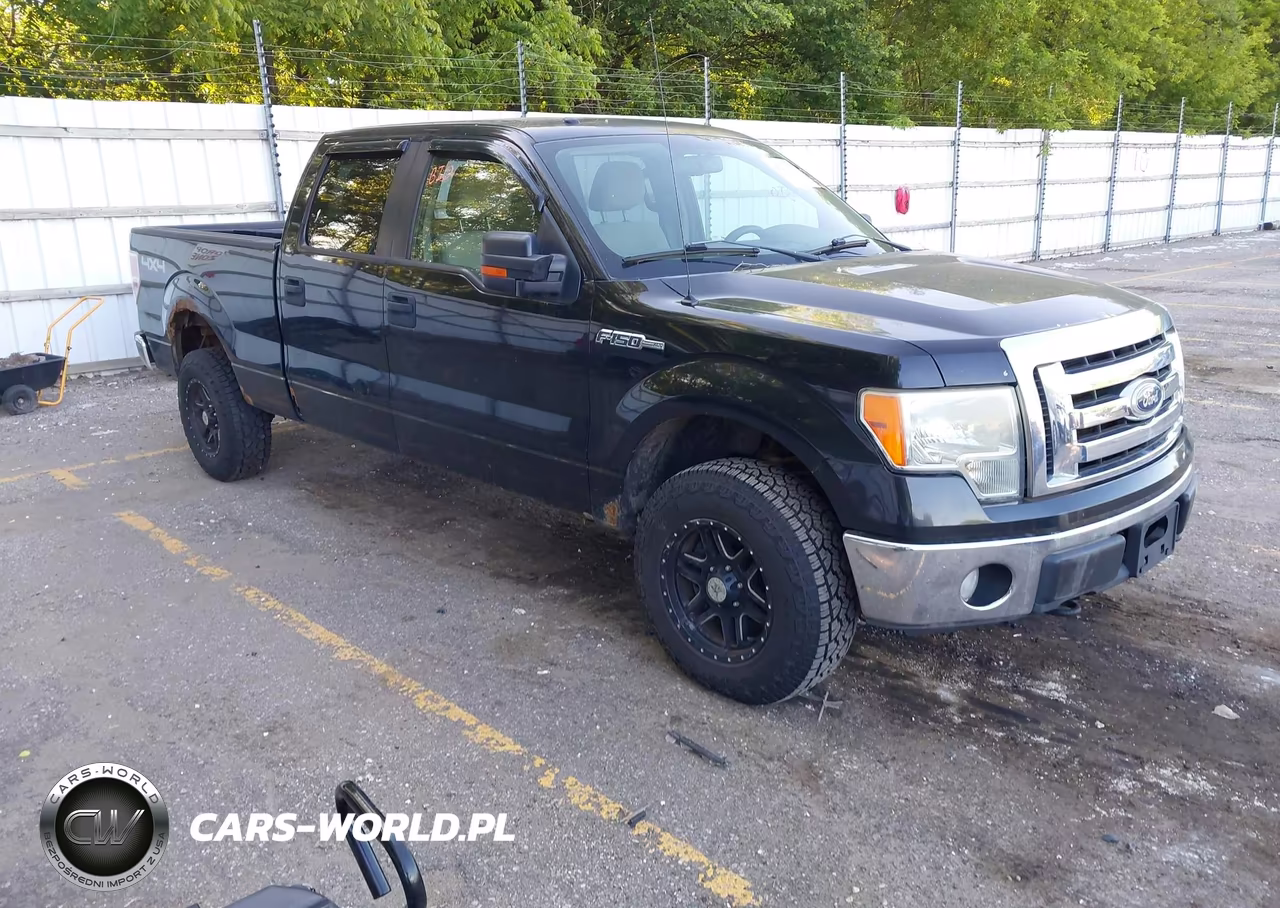 2010 Ford F-150 Xl-Xlt