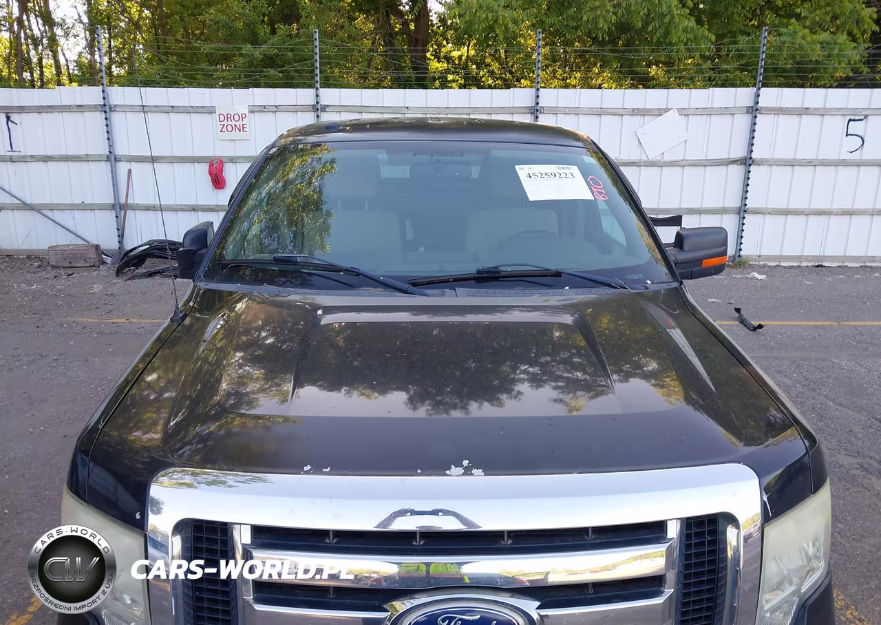 2010 Ford F-150 Xl-Xlt VIN:1FTFW1E86AFC77344 - 10