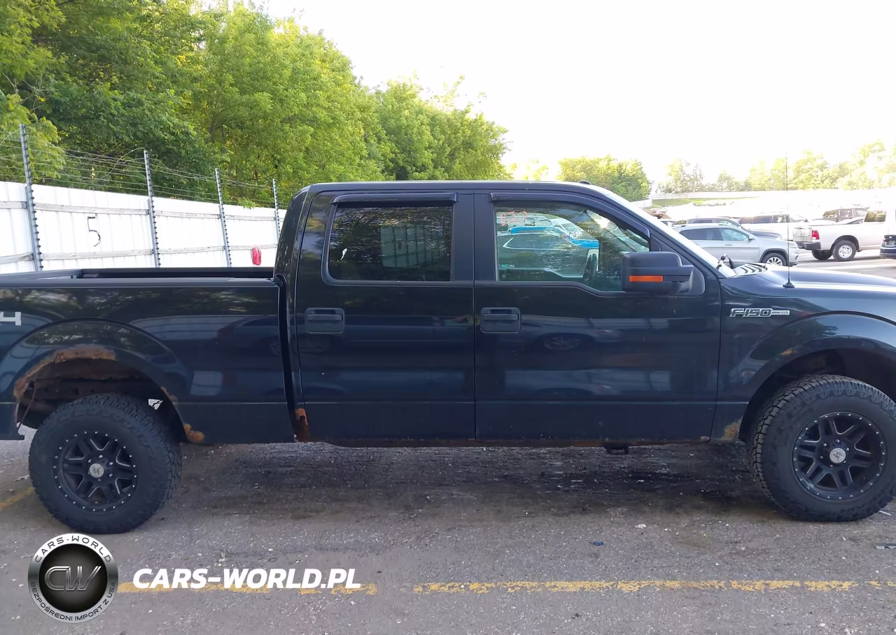 2010 Ford F-150 Xl-Xlt VIN:1FTFW1E86AFC77344 - 12