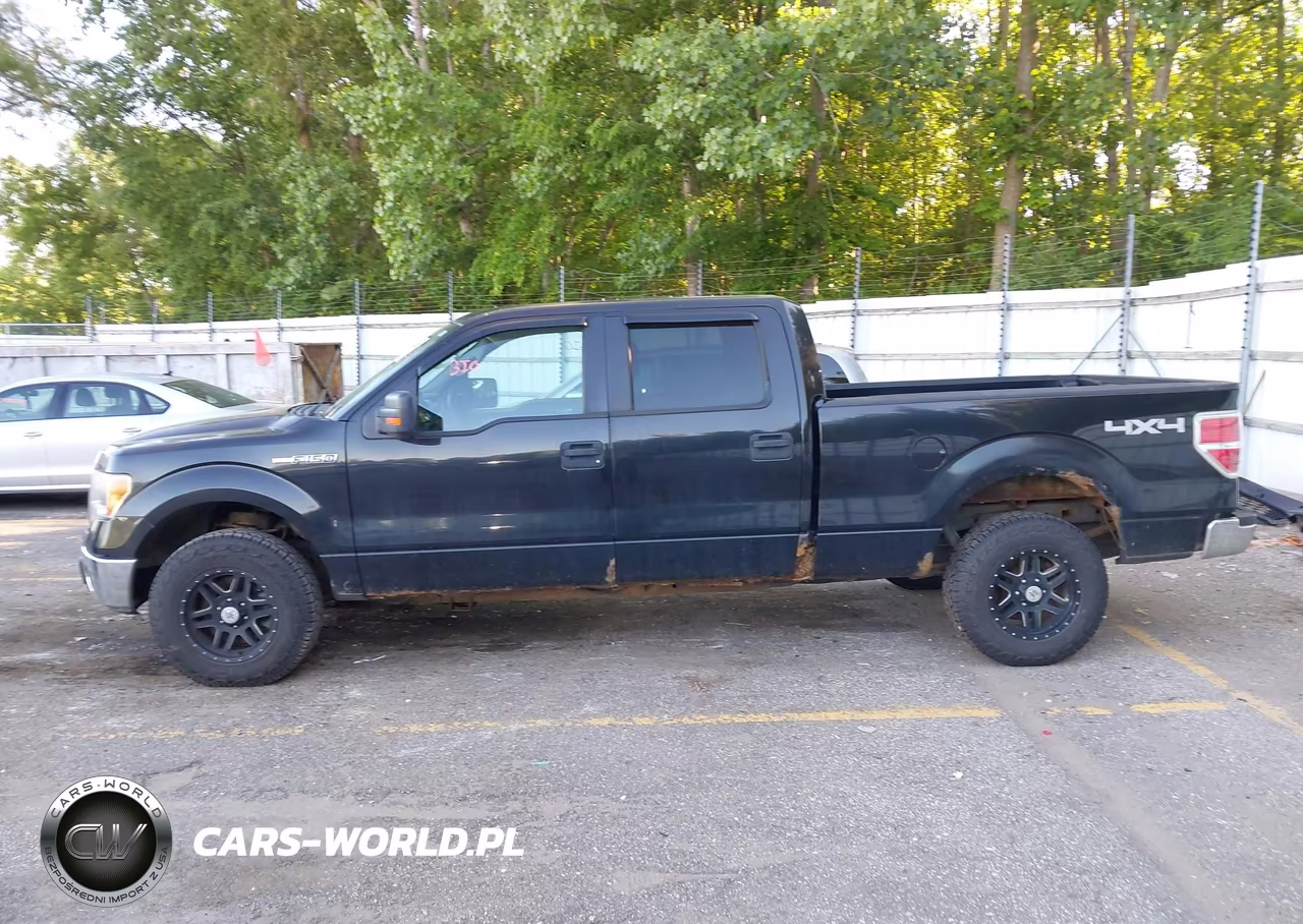 2010 Ford F-150 Xl-Xlt VIN:1FTFW1E86AFC77344 - 13