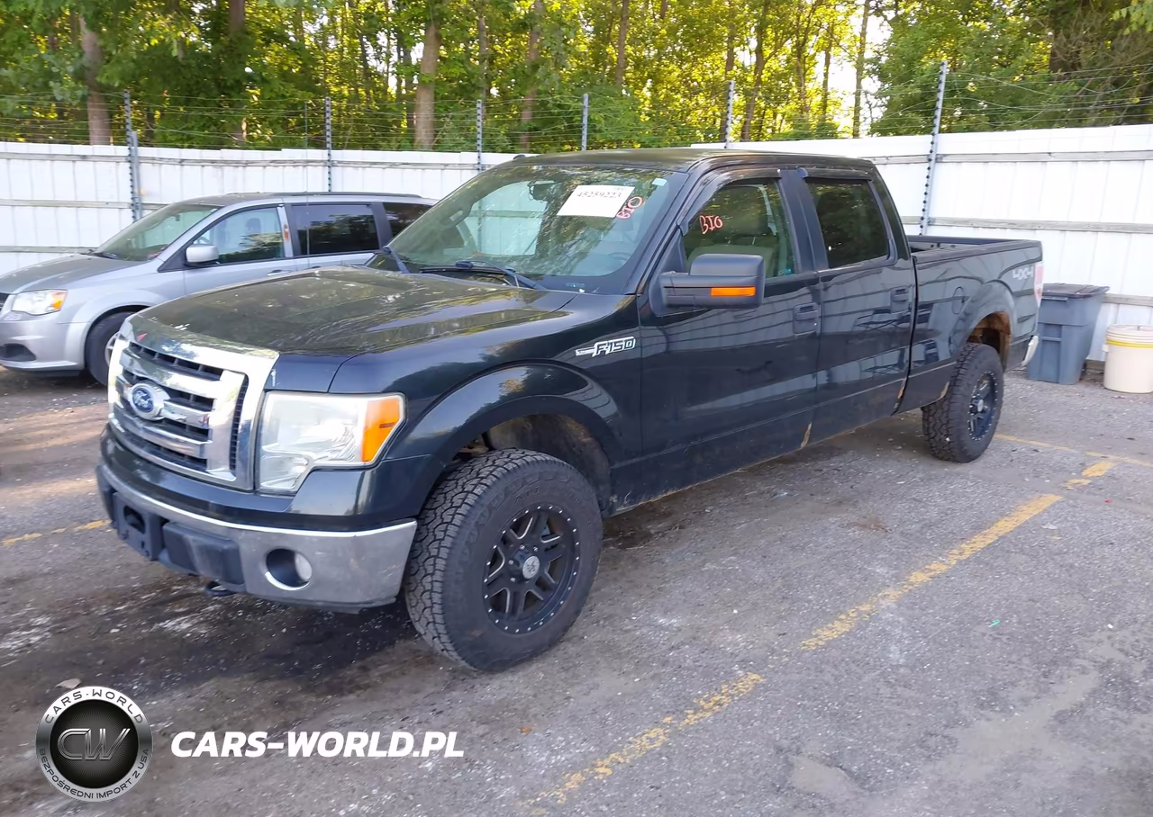 2010 Ford F-150 Xl-Xlt VIN:1FTFW1E86AFC77344 - 2