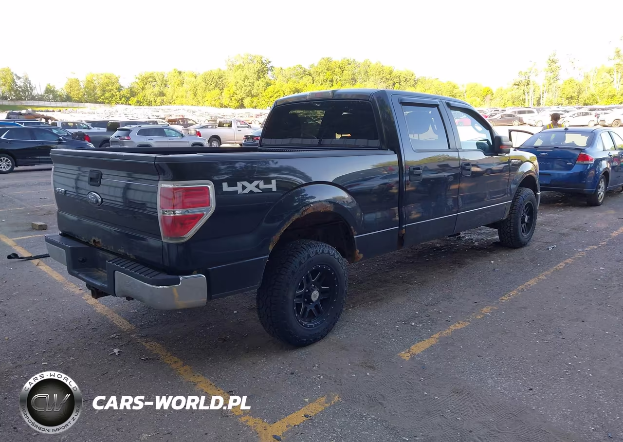 2010 Ford F-150 Xl-Xlt VIN:1FTFW1E86AFC77344 - 4