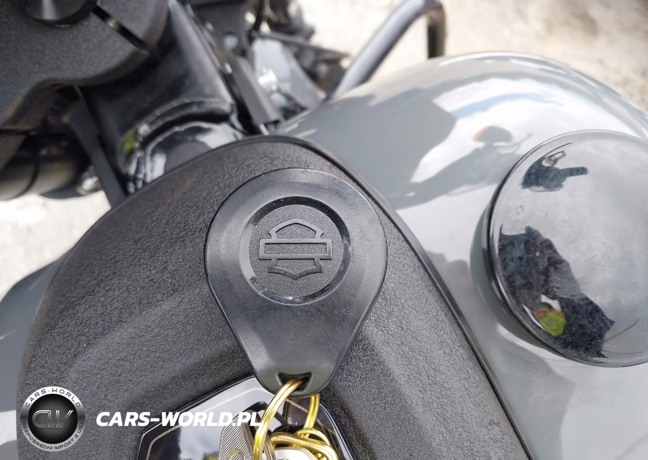 2022 Harley-Davidson Fxlrs VIN:1HD1YWZ14NB053774 - 11